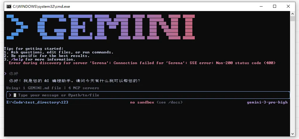 终端运行 gemini 的对话界面