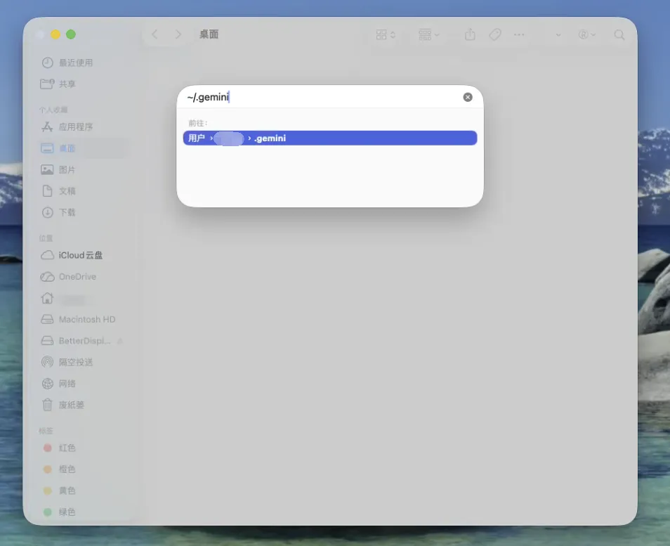 打开 macOS 下的 .gemini 配置目录